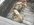 A58DC95F-56F4-4253-970F-E224CAA99DE6.jpeg