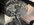 0721A343-34B0-416C-A489-4891A8708EFA.jpeg