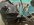 007EFC51-A1C9-4BDF-A018-9323EC238AC3.jpeg