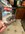 thumbnail (9).jpg