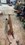 EF043BA7-AC7F-43C8-B4CC-7888C22C4B90.jpeg