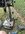 8F7AD90A-CD8B-4F84-8371-B45C903C63C2.jpeg