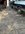 0182DB32-A018-4CB1-B43B-0E3C44366CBF.jpeg
