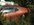 869E7DB9-6BFB-48B0-8074-A137CA69FB76.jpeg
