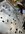 A03D42B1-1EAA-4FE7-9B80-968486FE7BE0.JPG