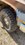 BE495D0C-F9C3-402C-AF37-9649C722D43A.jpeg