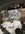 C6F2F953-76CF-4284-9215-B7A9B2421542.jpeg
