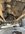 965E5955-DEF1-4B1D-A52B-8ADC6DE12677.jpeg