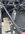 73E92957-CEF2-4A23-A2BD-532665DF98FF.jpeg