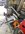 3102CE06-1B00-45ED-83DA-B970F8764989.jpeg