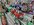 A8964E5E-0396-4D7F-A3C2-2DEECD275ED6.jpeg