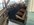 IMG_3085.jpeg