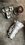 IMG_3679.JPEG