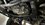 IMG_3697.JPEG