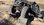 15023.jpeg