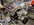 8DEAE4D5-81B3-4927-A47B-A56468AAE301.jpeg
