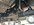 70397750927__0965BC61-BAEC-4312-97E1-7FF374A1950E.jpeg