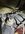 IMG_1109.jpeg