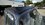 IMG_3827.jpeg