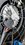 IMG_3776.jpeg
