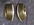 1682544515326.png