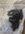 D87288C5-DEEB-4533-A859-C4BB9F2AE094.jpeg