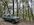 IMG_3441.jpeg