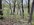 IMG_3438.jpeg