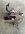 IMG_1269.jpeg