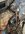 IMG_9894.jpeg