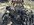 IMG_1557.jpeg