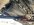 IMG_1635.jpeg