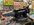IMG_2949 2.jpeg