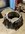 IMG_2952 2.jpeg