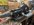 IMG_2958.jpeg