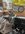 IMG_2963.jpeg