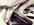 IMG_3833.jpeg