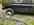 IMG_2943.jpeg