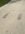IMG_9959.jpeg
