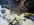 IMG_3864.jpeg