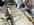 IMG_3870.jpeg
