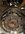 Brakes (1).JPG