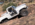 1683595147541.png