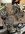 IMG_9972.jpeg