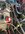 BDEFA44A-6697-449D-BC85-B9C284B04DFF.jpeg