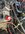 B2D320F3-3571-494E-8637-9AA9236E9424.jpeg