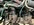 IMG_2157.jpeg