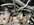 IMG_2166.jpeg