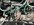 IMG_2165.jpeg