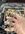 IMG_2364.jpeg